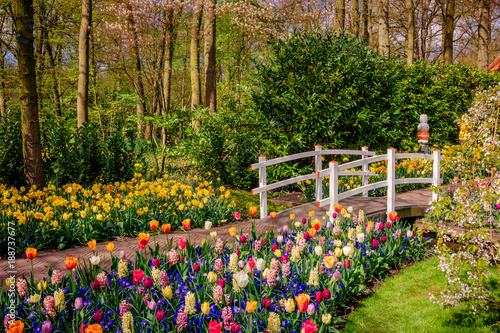 Beautiful garden. Park in The Spring. Spring landscape photo