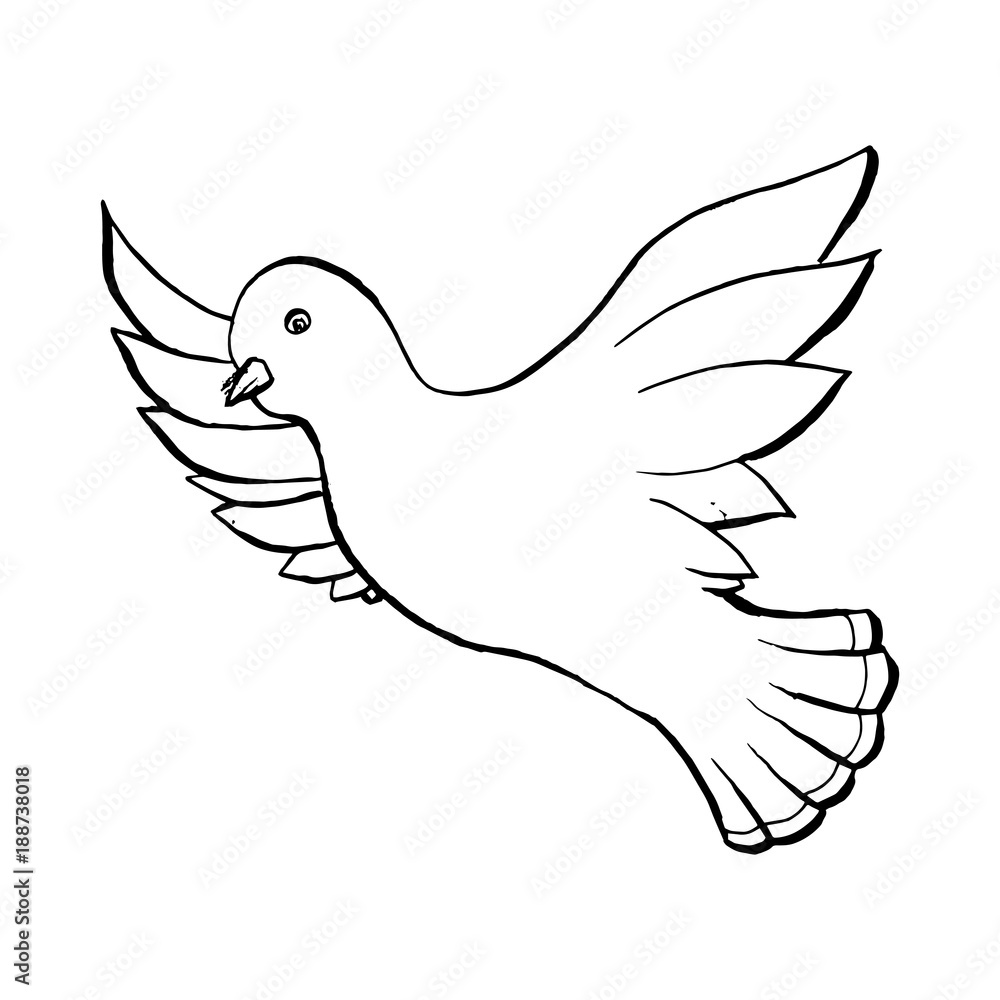 Fototapeta premium Dove Flying Bird in Sketch Style. Outline or Contour Drawing. Hand drawn Vector Isolated Illustration.