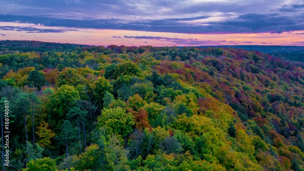 Aerial clouds and forest at sunset Aerial clouds and forest at sunset