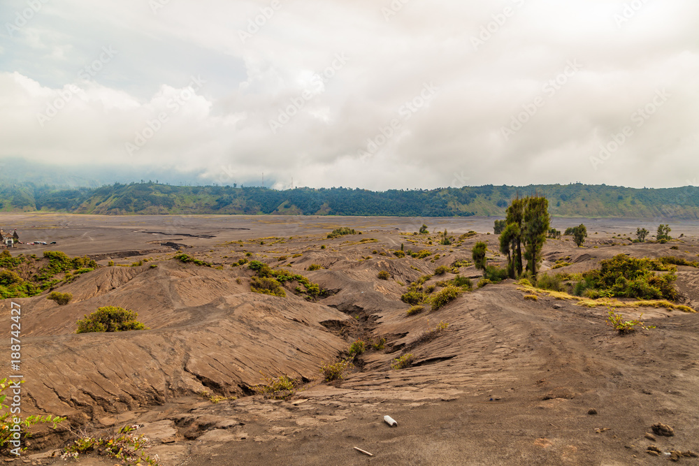 Tengger caldera view from Bromo volcano. Bromo Tengger Semeru National Park, East Java, Indonesia