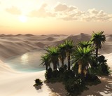 Oasis. The pond in the sandy desert with palm trees above the water
