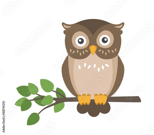 Vector flat cute brown owl sitting on branch isolated on white background photo