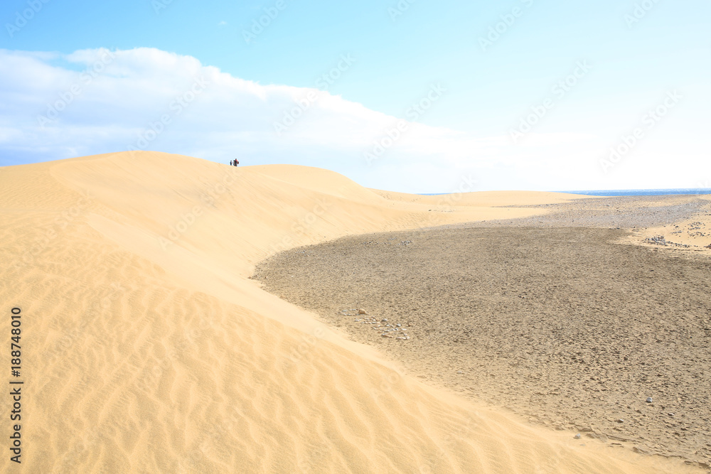 Sand dunes on the Atlantic coast in Maspalomas on Gran Canaria Island, Canary Islands, Spain