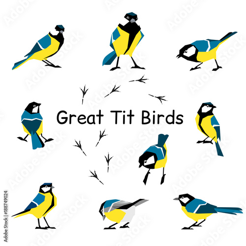 Vector bird icon collection.
