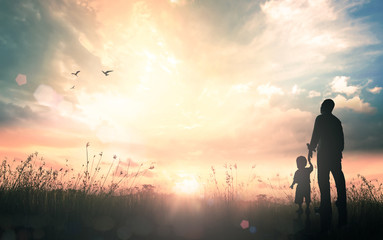 Silhouette of a father holding hands with his young son walking on a grass field at sunset with lens flare and birds flying in the sky, International Father's Day and family concept