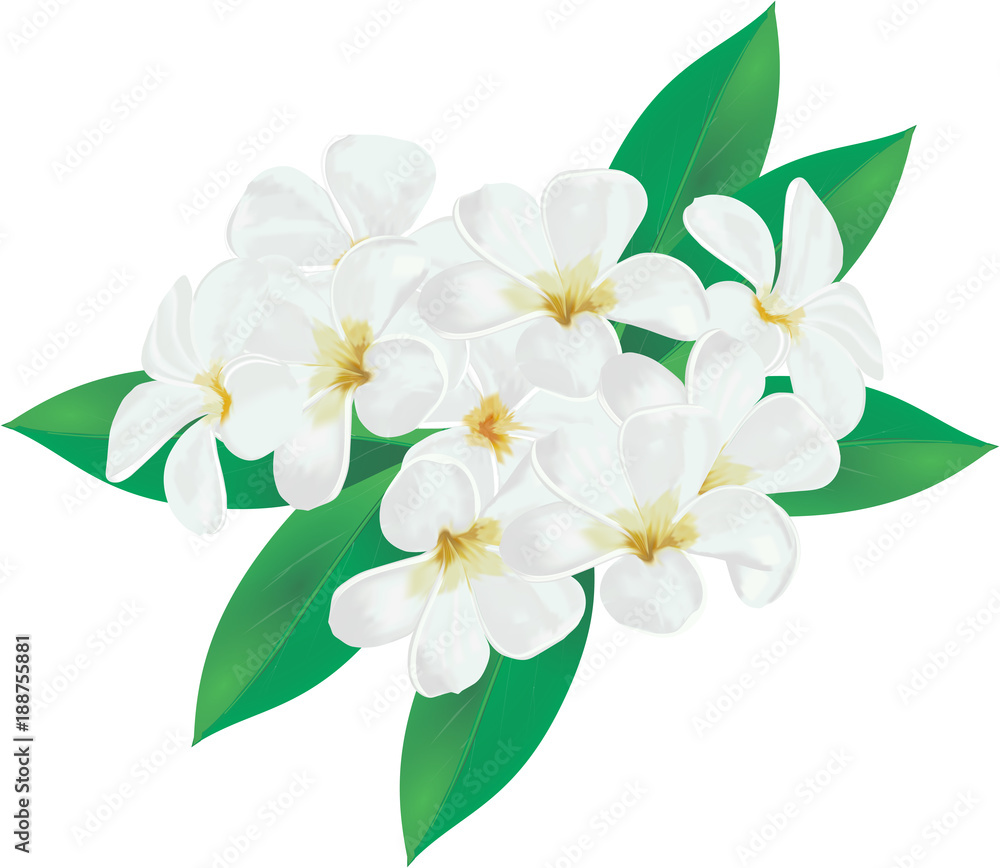 Naklejka premium Drawing of spring flowers