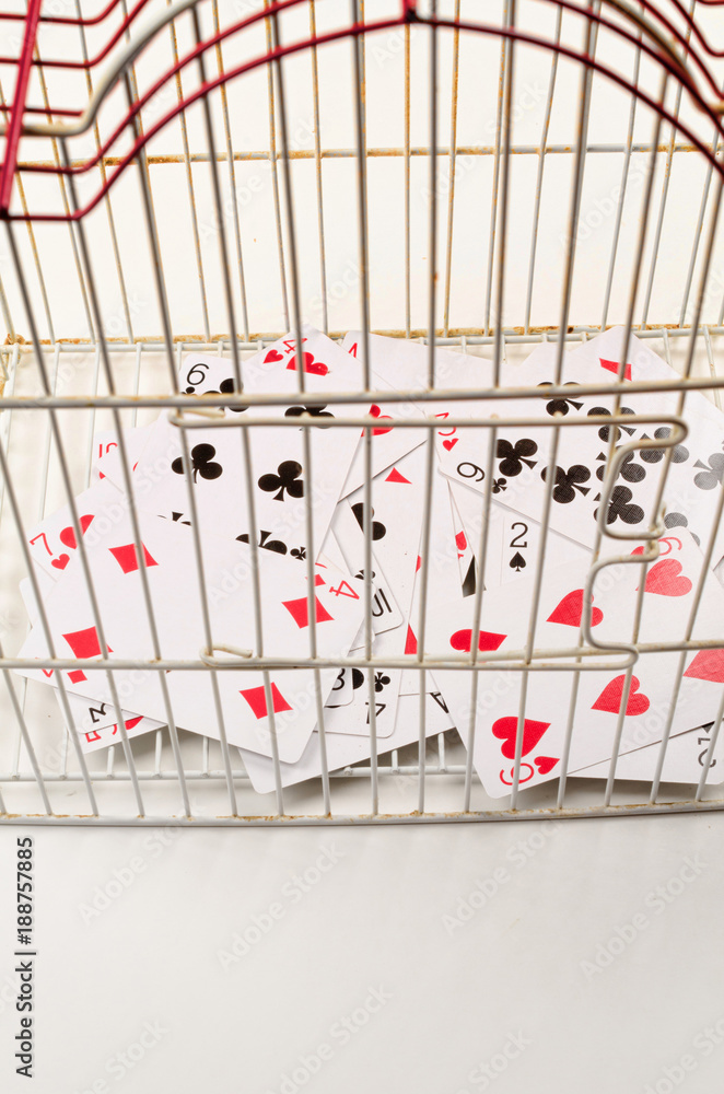 Cards inside a cage Cards inside a cage