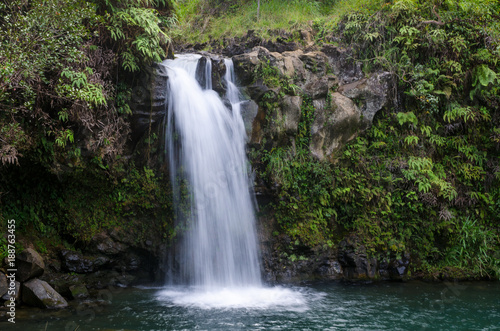 Rainforest Waterfall