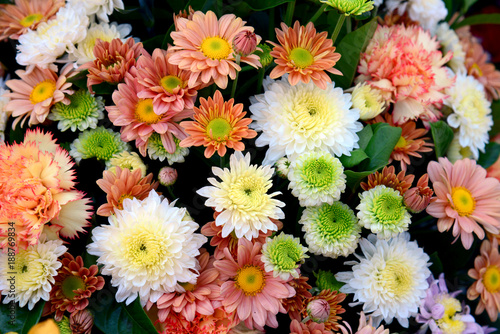  Multi-colored flower background.