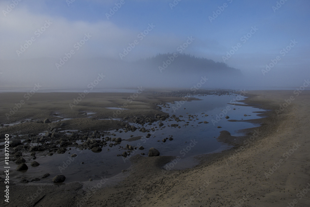 Fototapeta premium Misty Beach