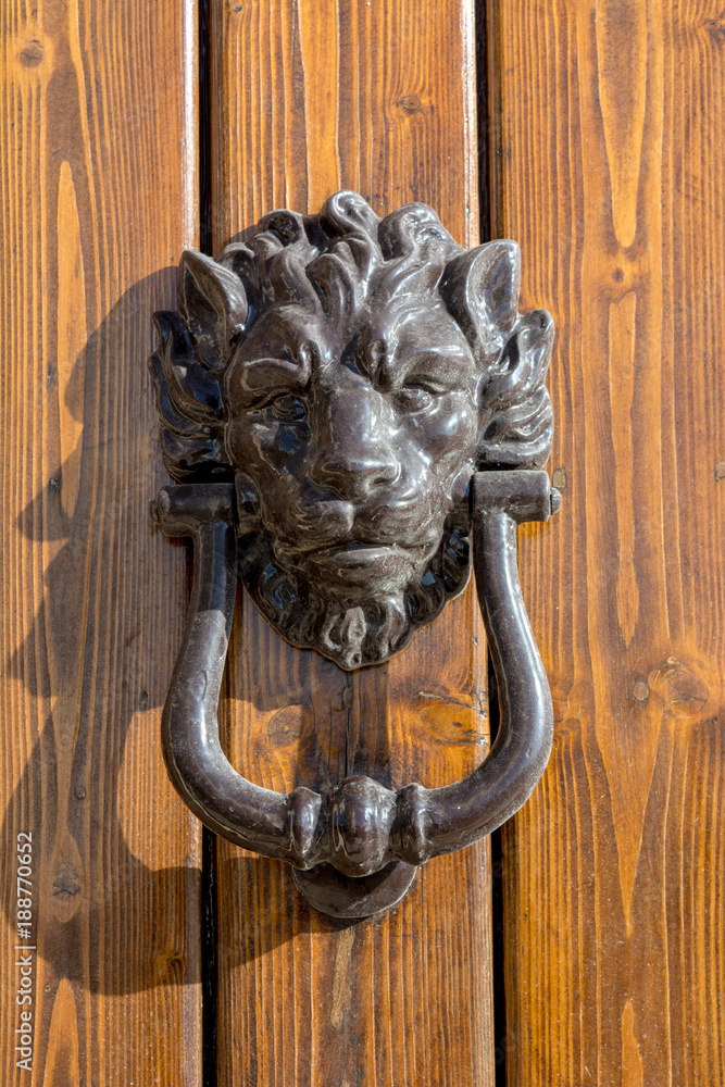 Close Up of Old Clapper With The Shape of a LIon On a Wooden Door