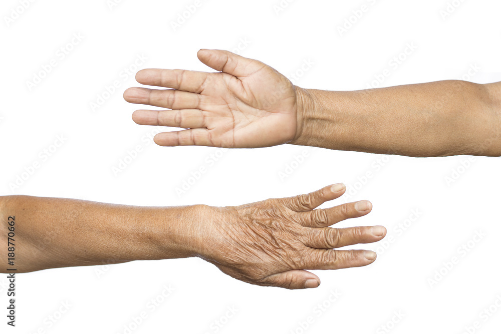 Old hands of woman on white background Old hands of woman on white background