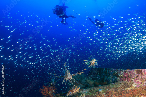 Lionfish, Glassfish and SCUBA divers on a shipwreck
