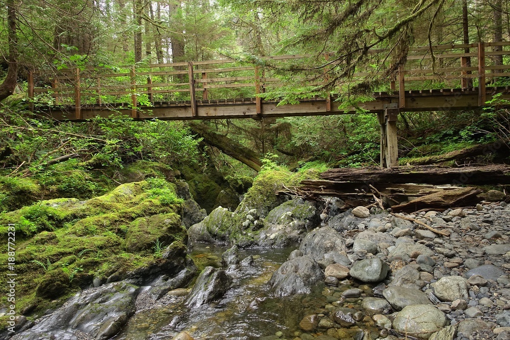 west, coast, ocean, beach, cold, trail, WCT, vancouver, victoria, west, coast, ocean, beach, cold, trail, WCT, vancouver, victoria,