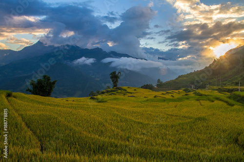 Terraced rice fields in Y Ty, Lao Cai Province, Vietnam