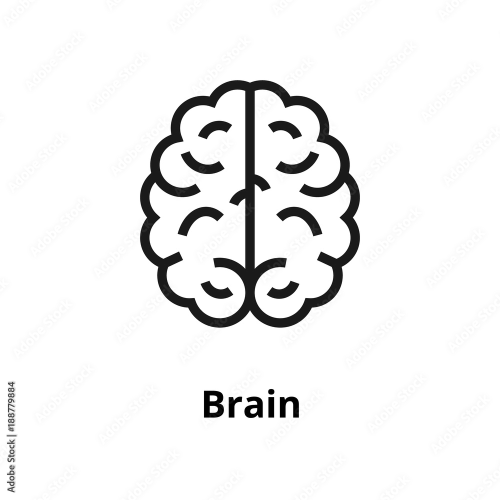 brain thin line icon. Icon for user interface and web brain thin line icon. Icon for user interface and web