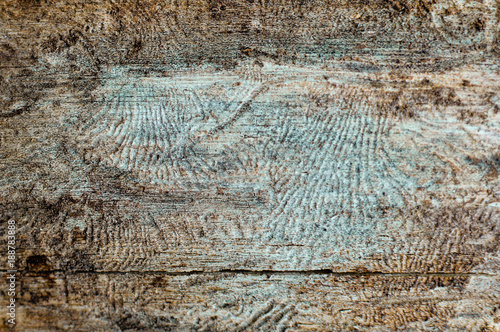 Close-up dtreailed view of the damaged tree barque texture