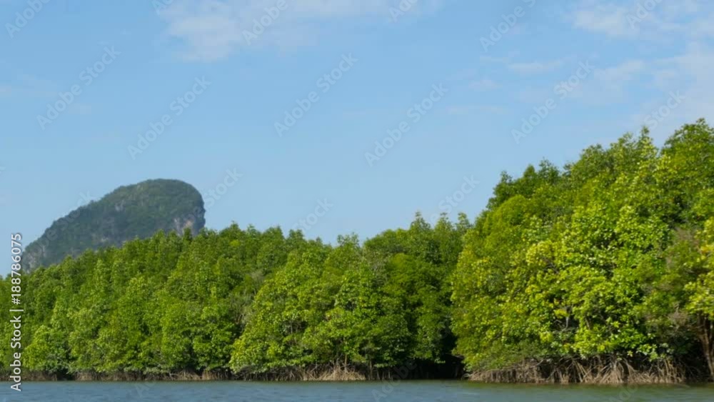 The boat sails past an exotic rainforest The boat sails past an exotic rainforest
