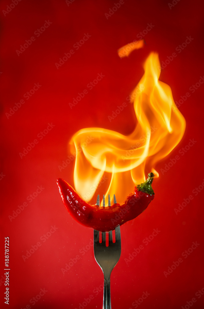 chili pepper red on fire, burning pepper, hot pepper, on a red and black background