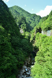 In the summer of Japan, forest and clear river flowing through valley.