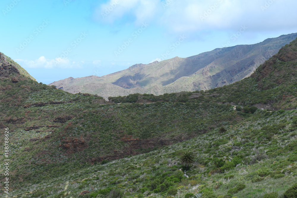 Beautiful, green hills on the north side of Tenerife, Tenerife Parque Rural Anaga
