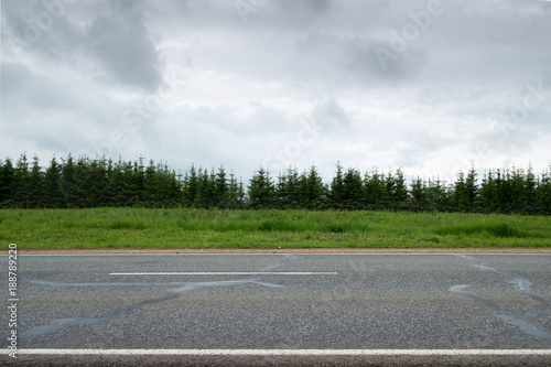 Highway. Road with white marking is seen from the side, surrounded by green fields and forest.Horizontal frame.