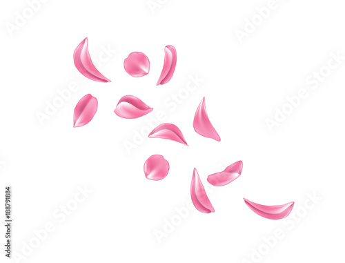 Vector realistic rose, cherry, sakura petal set