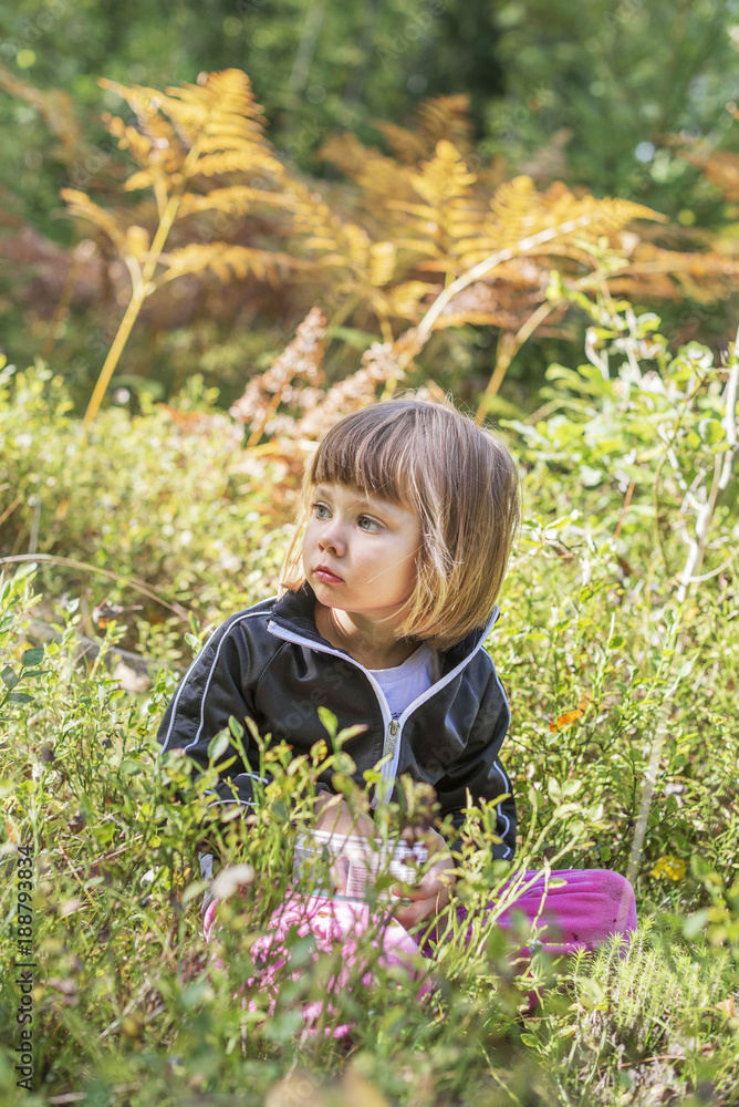 Young girl picking blueberries Young girl picking blueberries