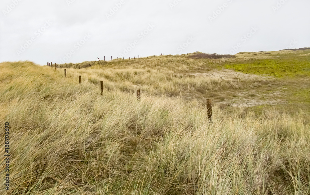 coastal dune scenery