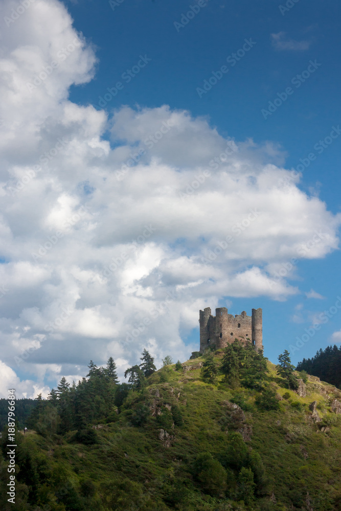 château médiéval d'Alleuze