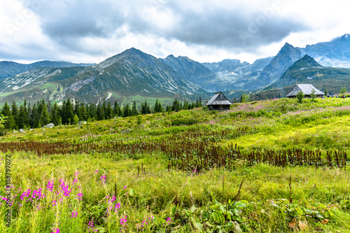 Idyllic mountain land with countryside scene, mountain hut in green valley, summer landscape