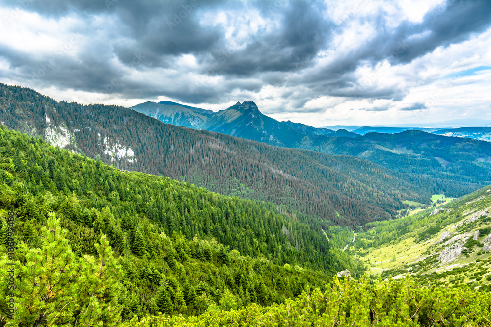 Fototapeta premium Green forest and mountains, panorama with top of the mountain in the sky