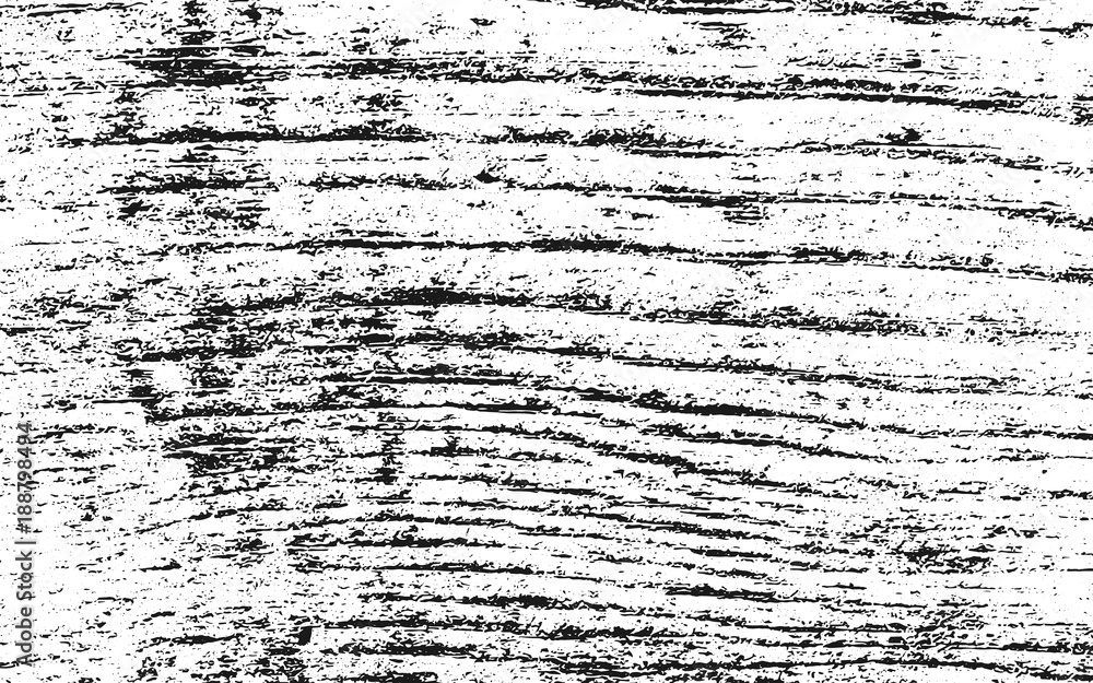 Obraz premium Wood Grunge Texture
