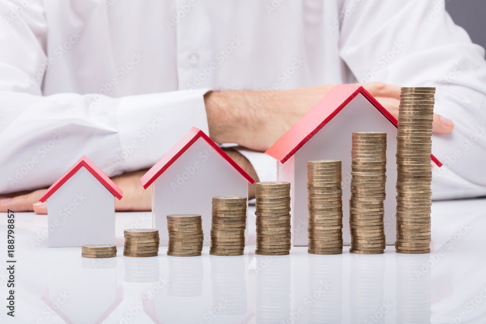 Εκτύπωση καμβά Businessman With Different Size Houses And Stacks Of Coins