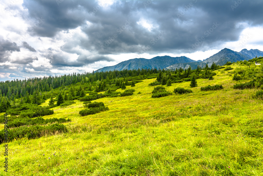 Green landscape of grass, trees and mountains on the sky background, Carpathians, Tatra National Park in Poland
