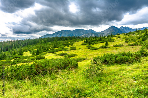 Green landscape of grass, trees and mountains on the sky background, Carpathians, Tatra National Park in Poland