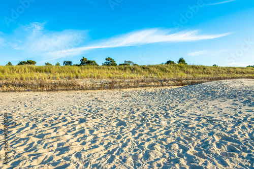 Sandy beach under blue sky, summer background © alicja neumiler