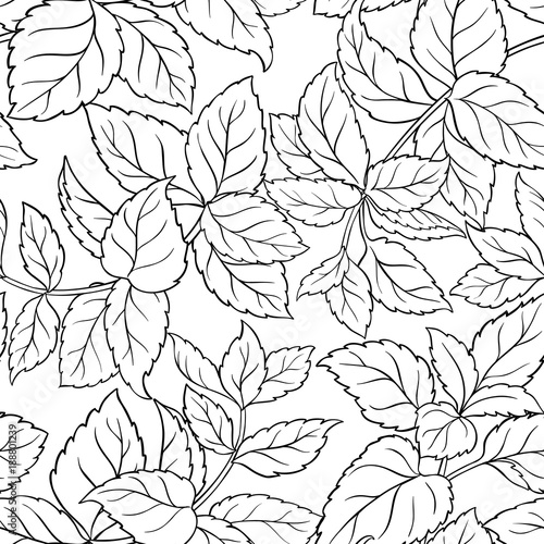 melissa seamless pattern