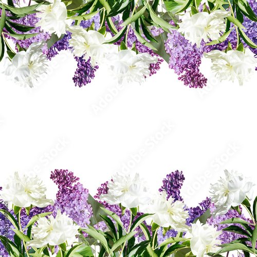 Beautiful floral background from lilac and white peonies 