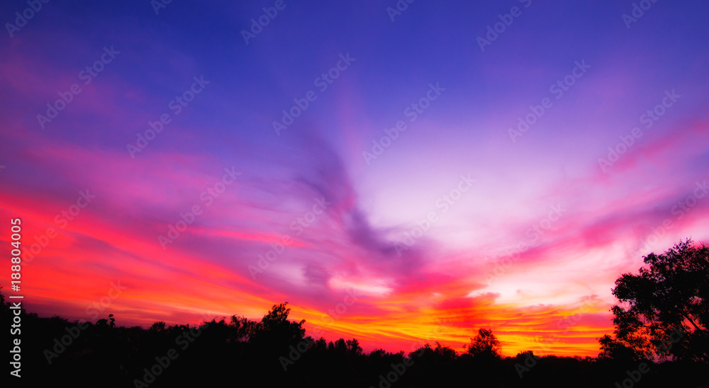 Obraz premium Pink sunset nature background.