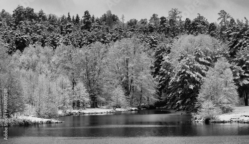  winter forest lake