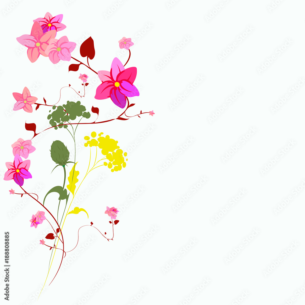 Beautiful wildflowers, bouquet, isolated  on a white