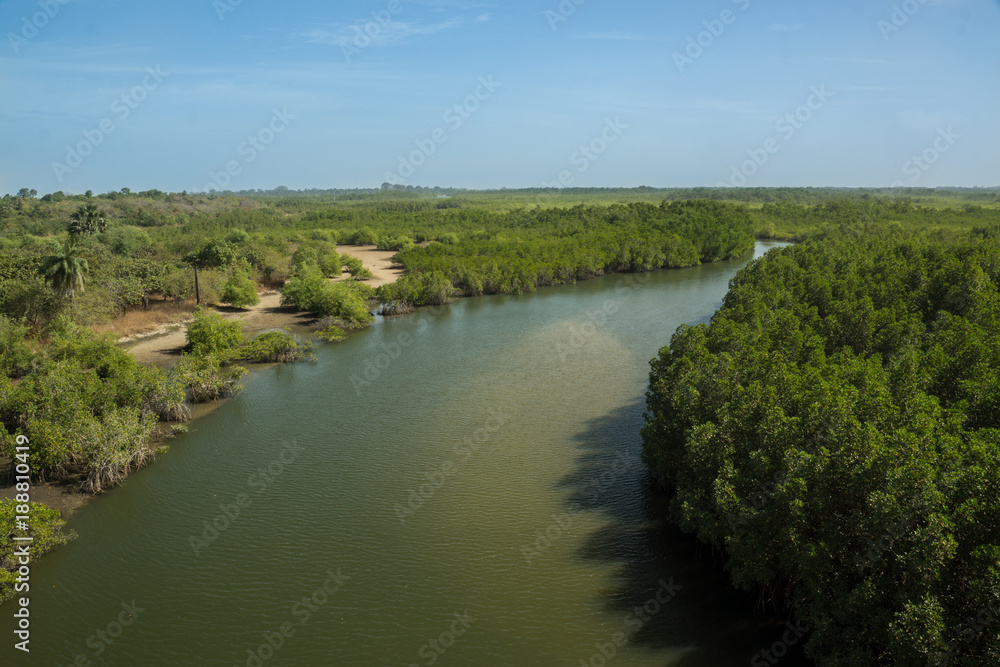 A tributary of the River Gambia near Makasutu Forest in Gambia, Africa
