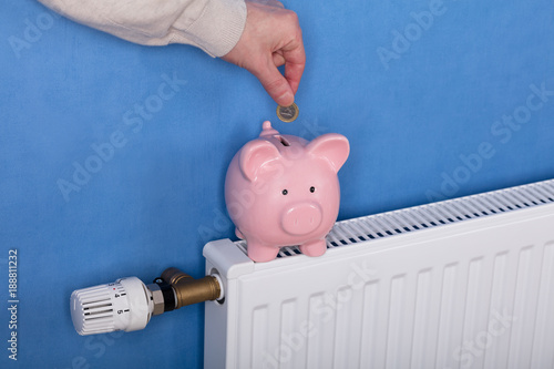 Person Inserting Coin In Piggy Bank