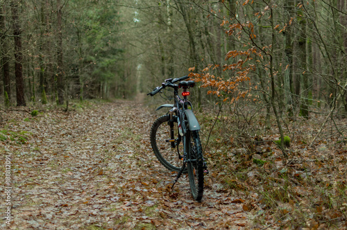 Mountain bike in the forest during autumn