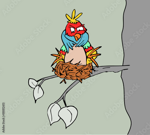 Grappige vogel op nest