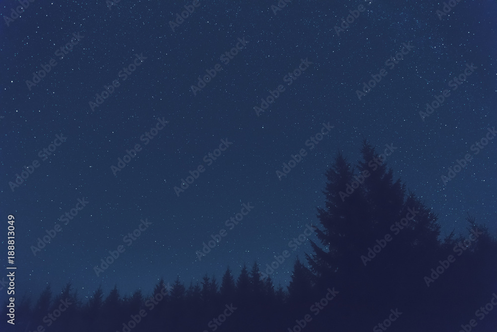 Milky way stars and tree silhouettes photographed with wide-angle lens. Milky way stars and tree silhouettes photographed with wide-angle lens.
