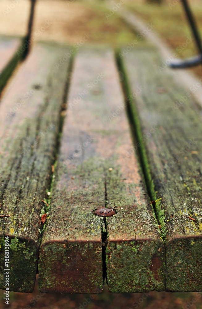 Fototapeta premium wooden bench in the park