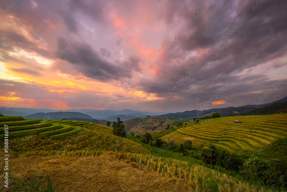 Rice field on terrace during sunset in Chiangmai, Thailand
