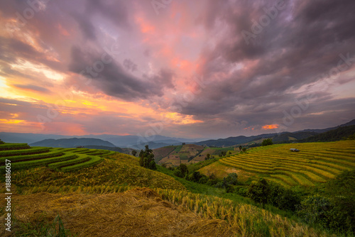 Rice field on terrace during sunset in Chiangmai, Thailand